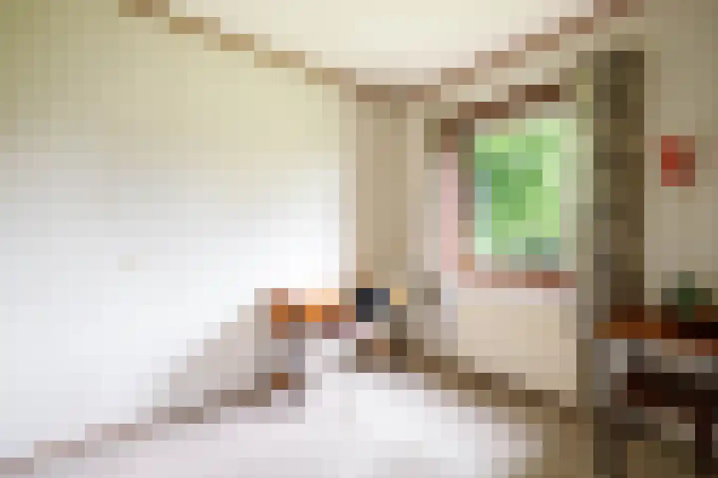 Tiendweg 18 Lopik thumbnail 23