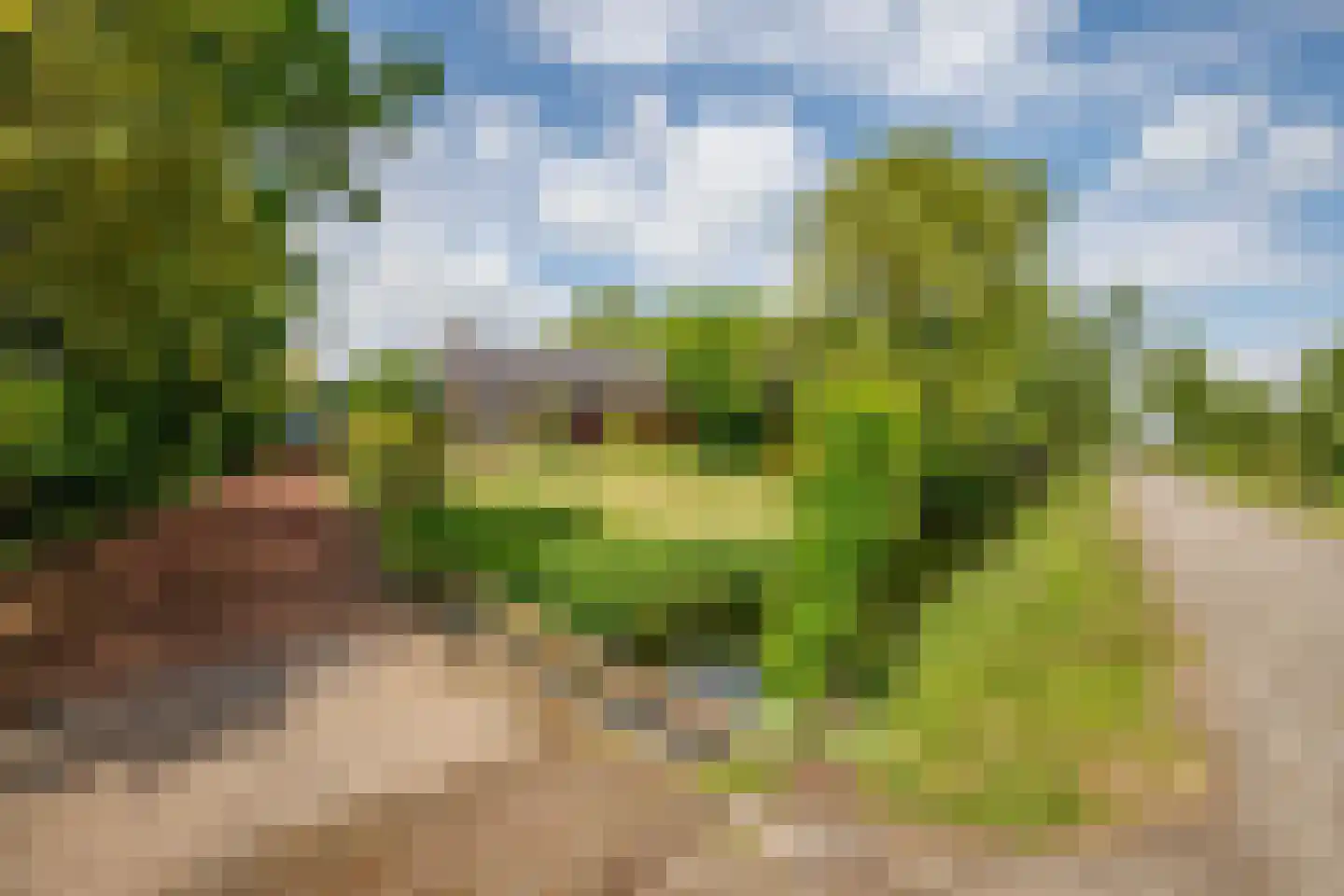 Tiendweg 18 Lopik thumbnail 28
