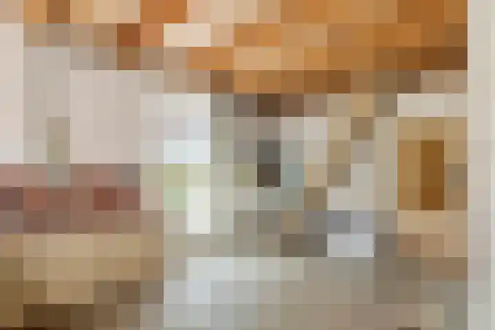 Tiendweg 19 A Lopik thumbnail 22