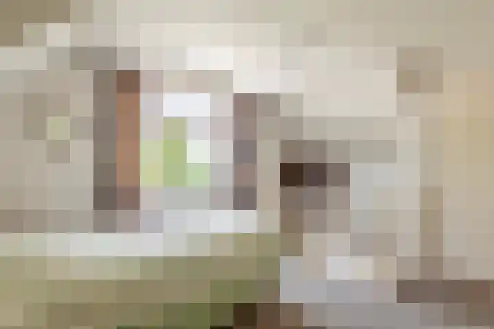 Tiendweg 19 A Lopik thumbnail 24