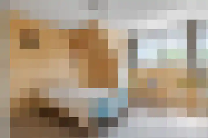 Tiendweg 19 A Lopik thumbnail 28
