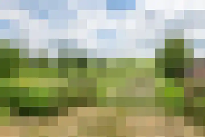 Tiendweg 19 A Lopik thumbnail 36