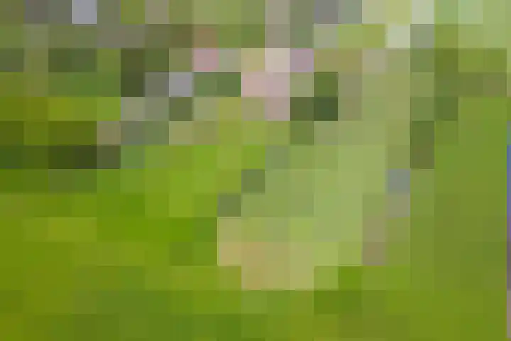 Tiendweg 19 A Lopik thumbnail 37