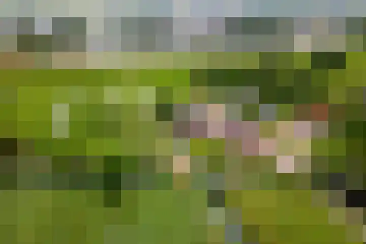Tiendweg 19 A Lopik thumbnail 38
