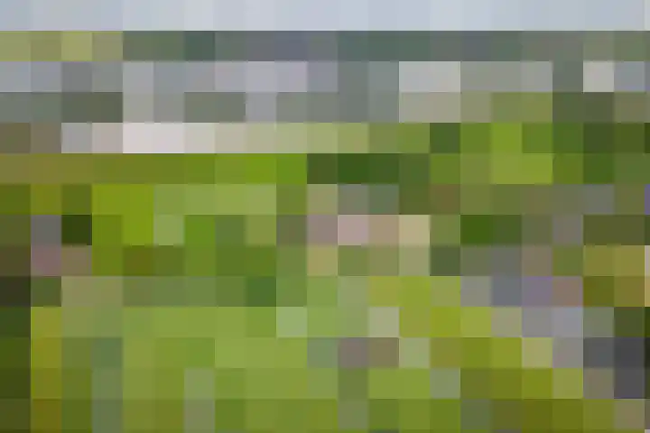 Tiendweg 19 A Lopik thumbnail 39