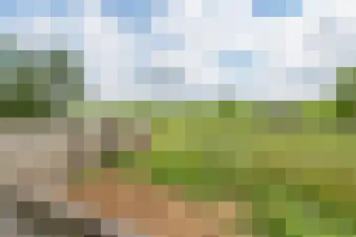 Tiendweg 19 A Lopik thumbnail 4