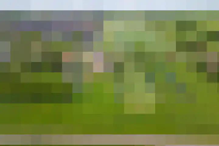 Tiendweg 19 A Lopik thumbnail 40