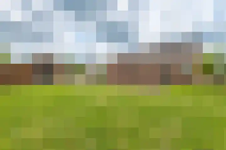 Tiendweg 19 A Lopik thumbnail 6