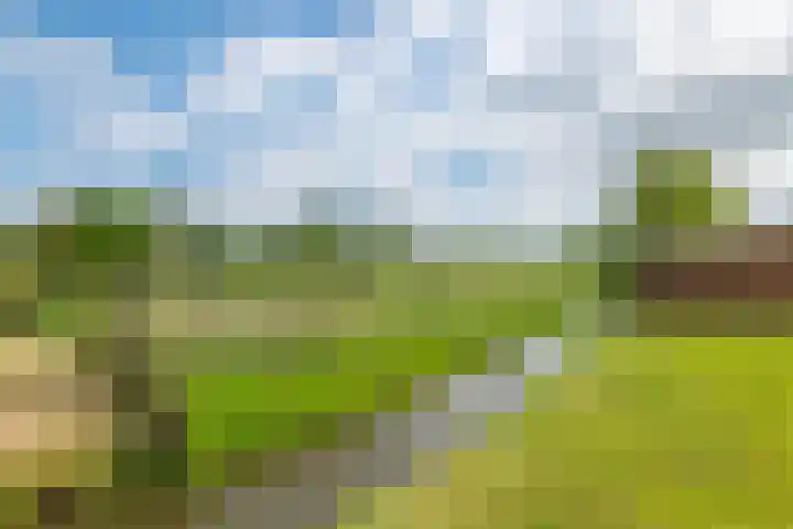 Tiendweg 19 A Lopik thumbnail 7