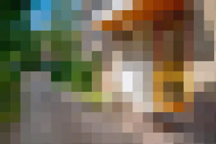 Tiendweg 2 A Bavel thumbnail 24