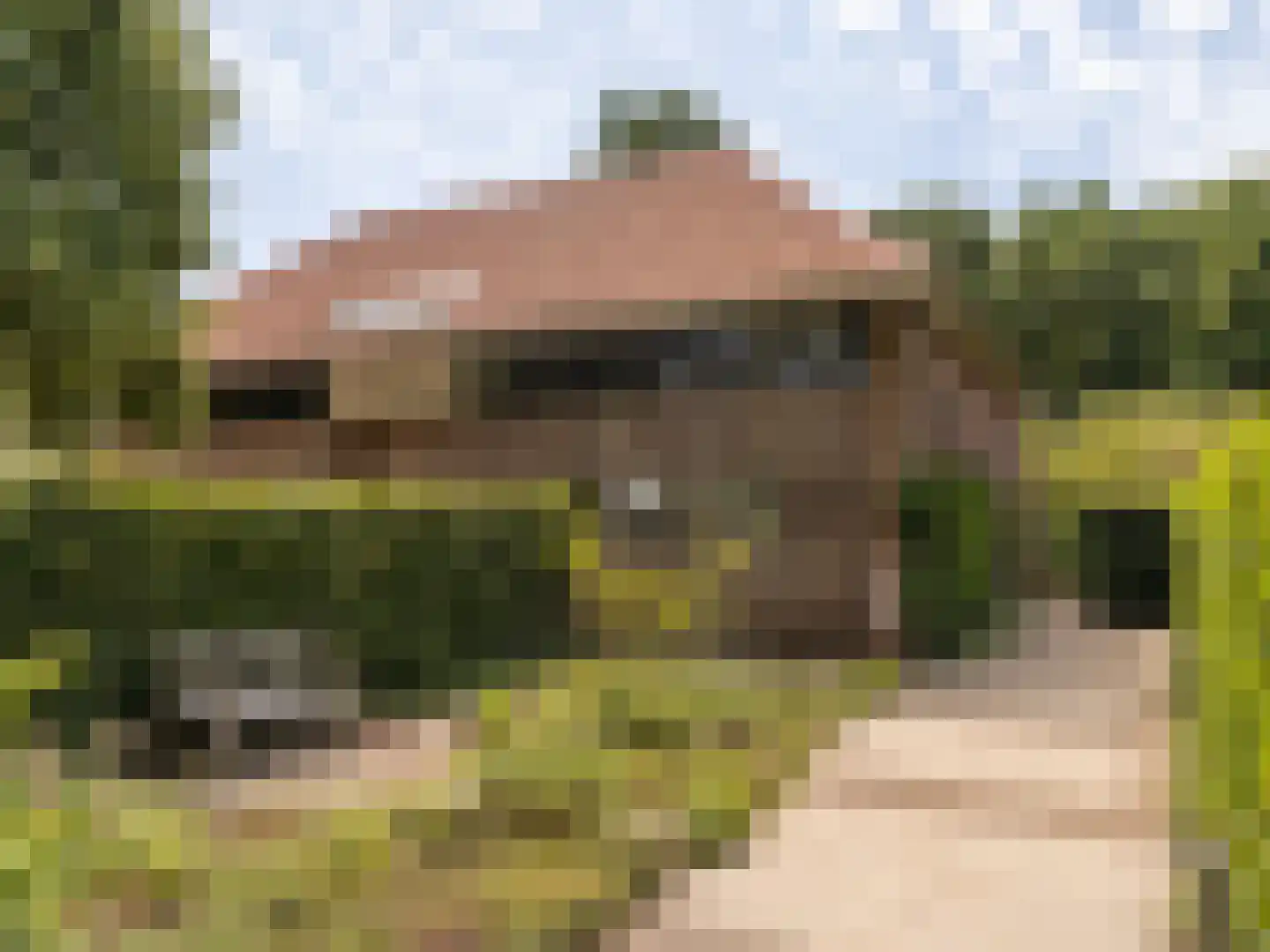 Tiendweg 2 A Bavel thumbnail 26