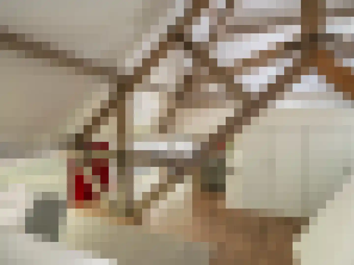 Tiendweg 2 A Bavel thumbnail 36