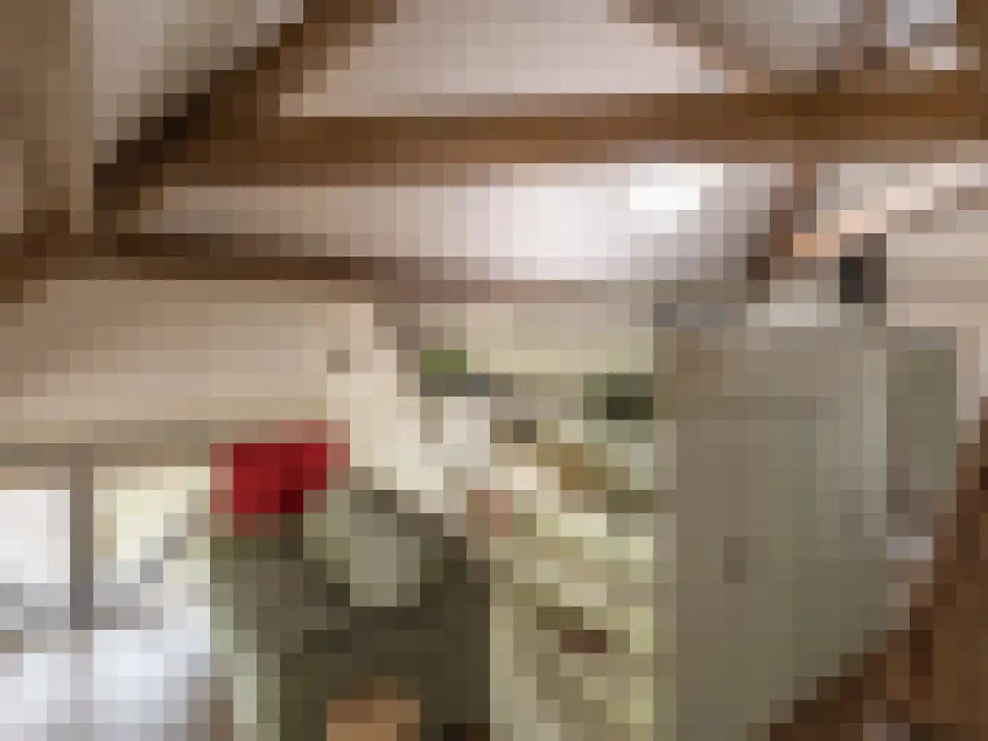 Tiendweg 2 A Bavel thumbnail 37
