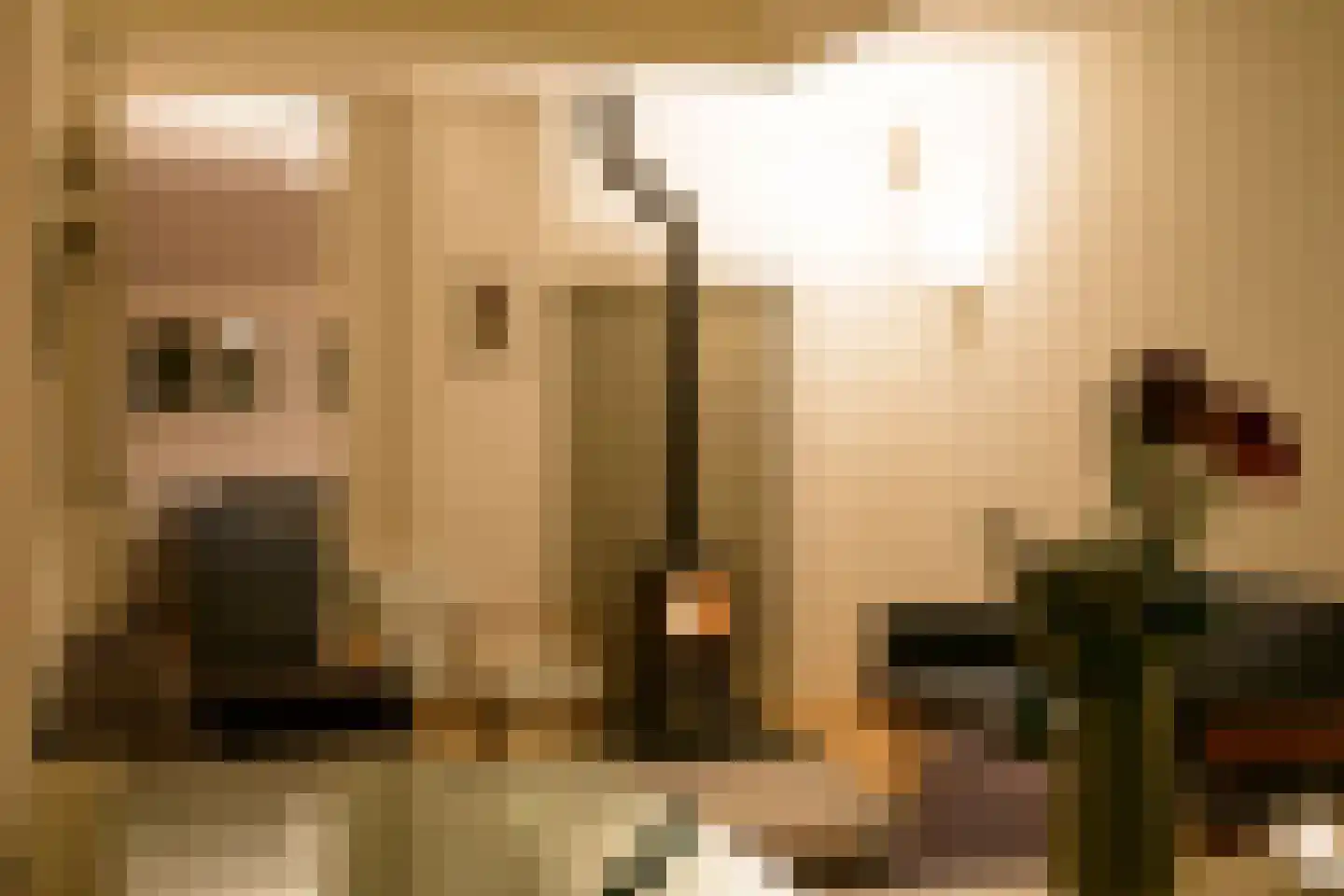 Tiendweg 2 A Bavel thumbnail 54