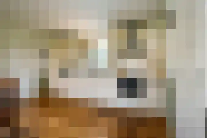 Tiendweg 22 c Schoonhoven thumbnail 17