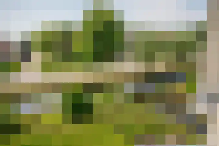 Tiendweg 22 c Schoonhoven thumbnail 27