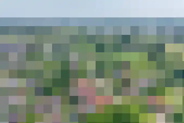 Tiendweg 22 c Schoonhoven thumbnail 34