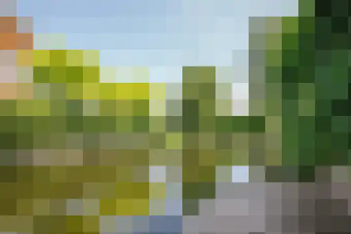 Tiendweg 22 c Schoonhoven thumbnail 41