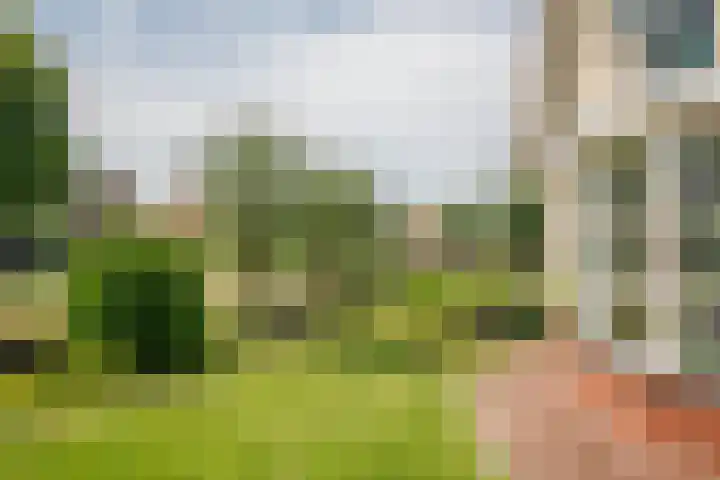 Tiendweg 22 c Schoonhoven thumbnail 6