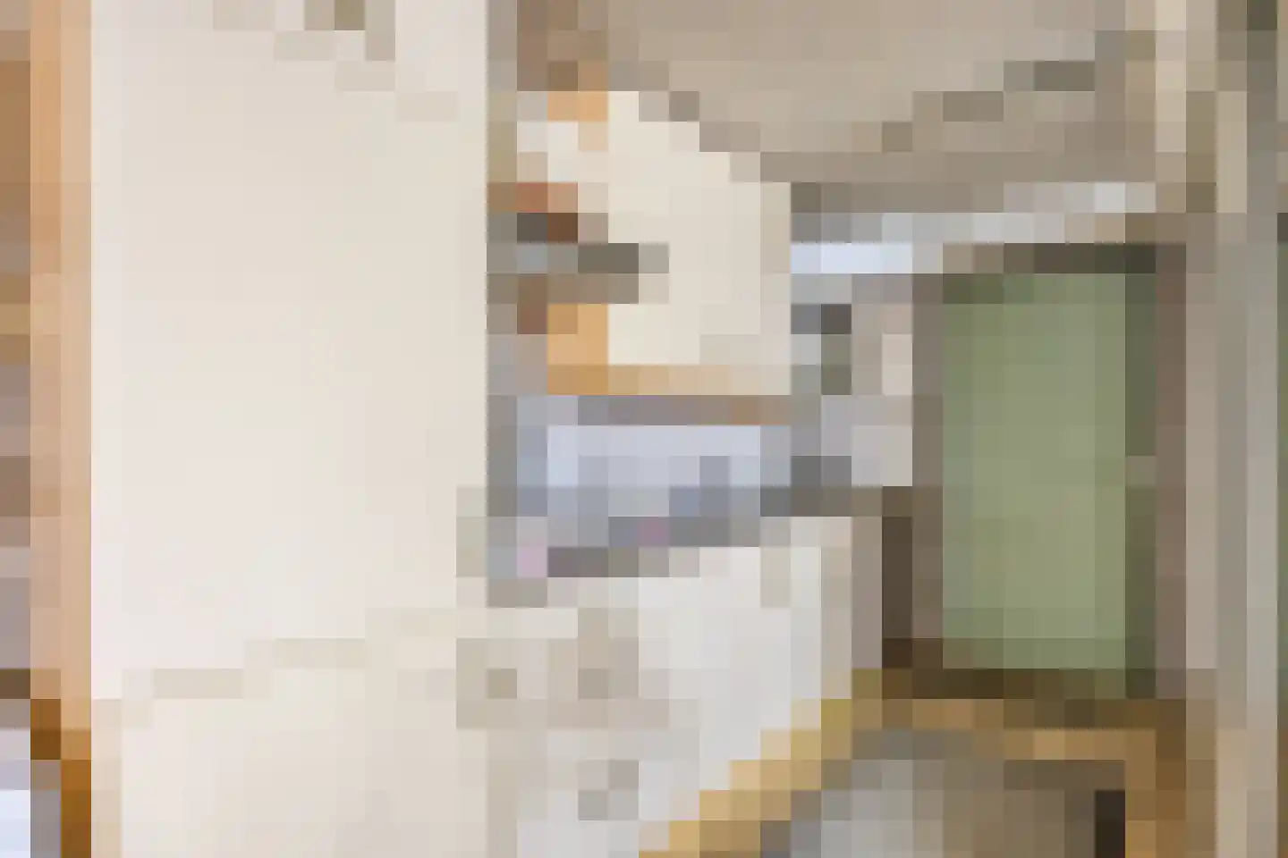 Tiendweg 26 Harmelen thumbnail 39