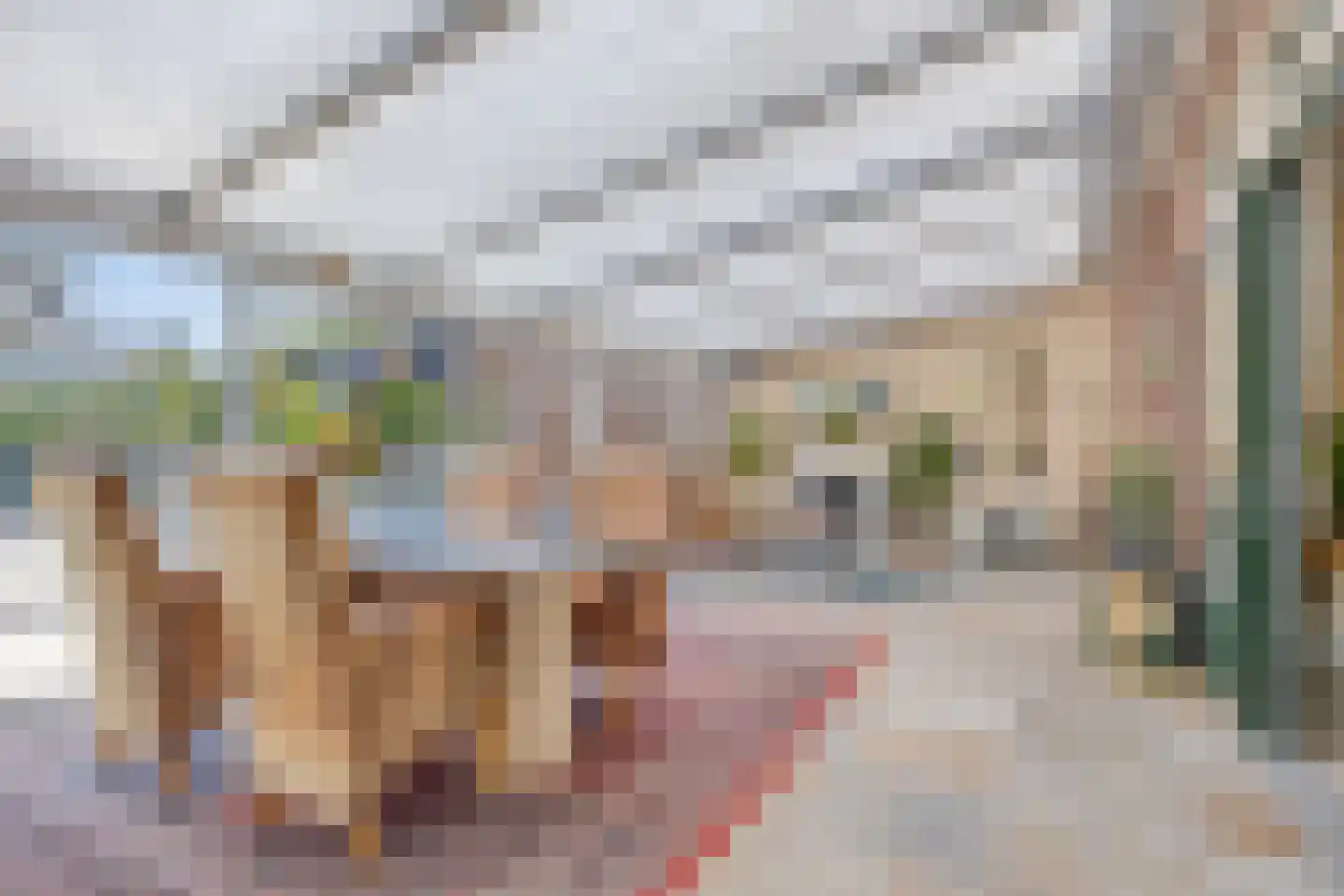 Tiendweg 26 Harmelen thumbnail 4