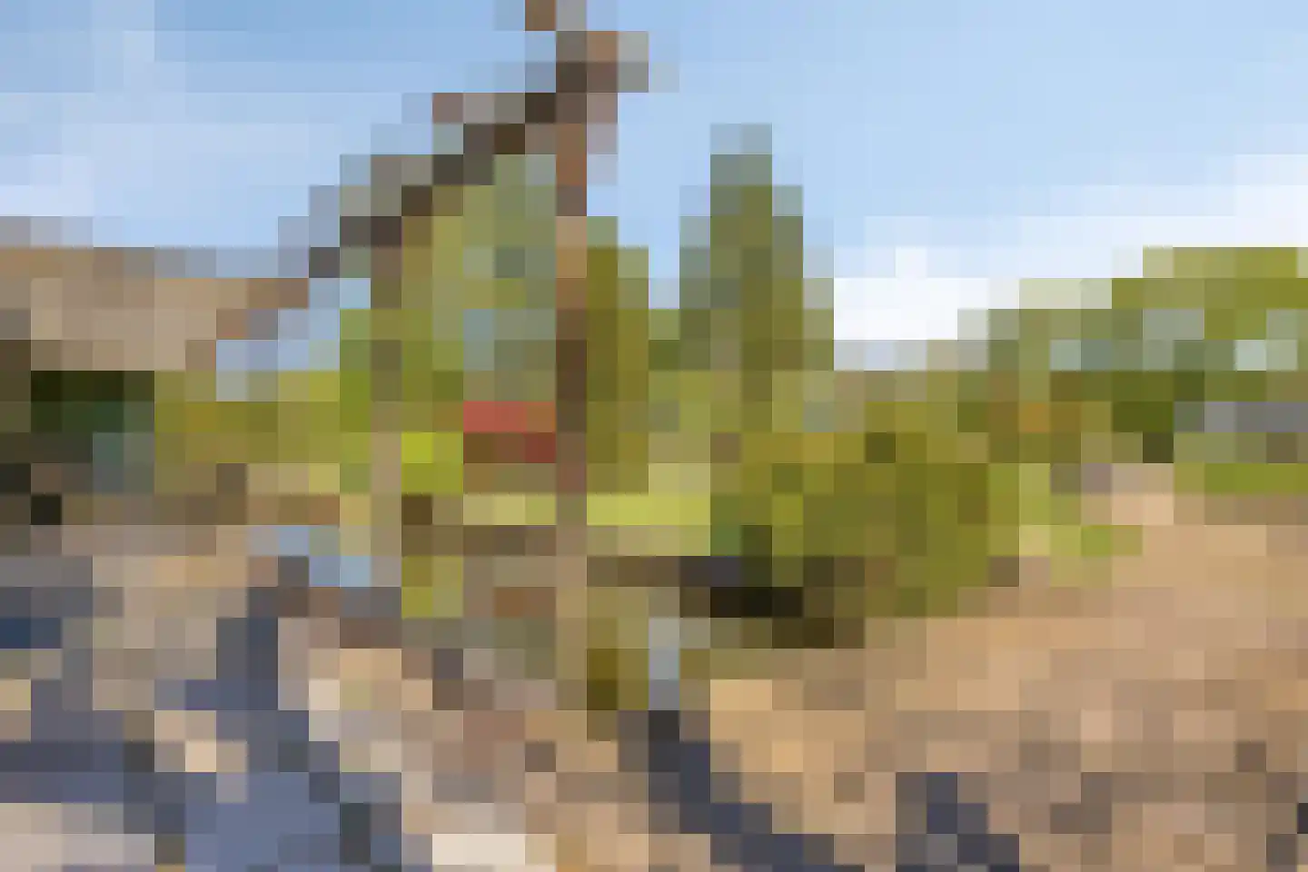 Tiendweg 26 Harmelen thumbnail 52