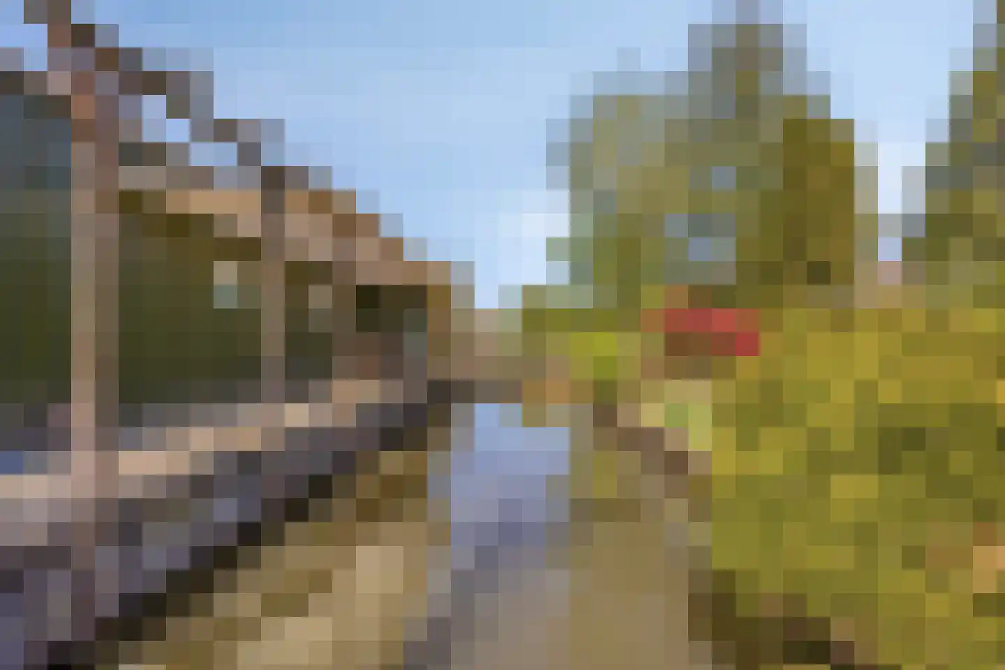 Tiendweg 26 Harmelen thumbnail 54