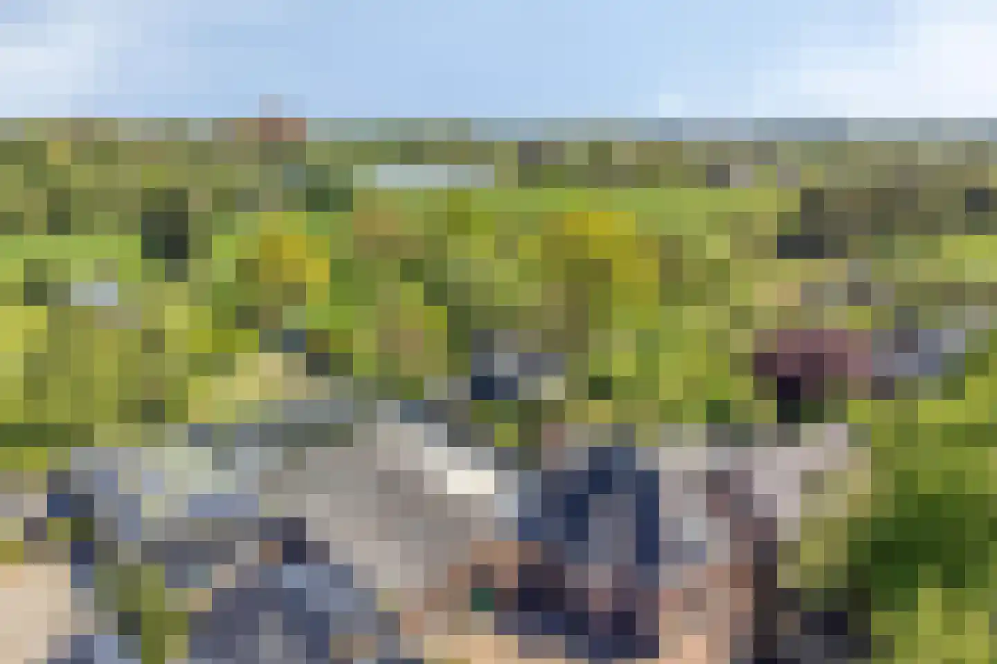 Tiendweg 26 Harmelen thumbnail 64