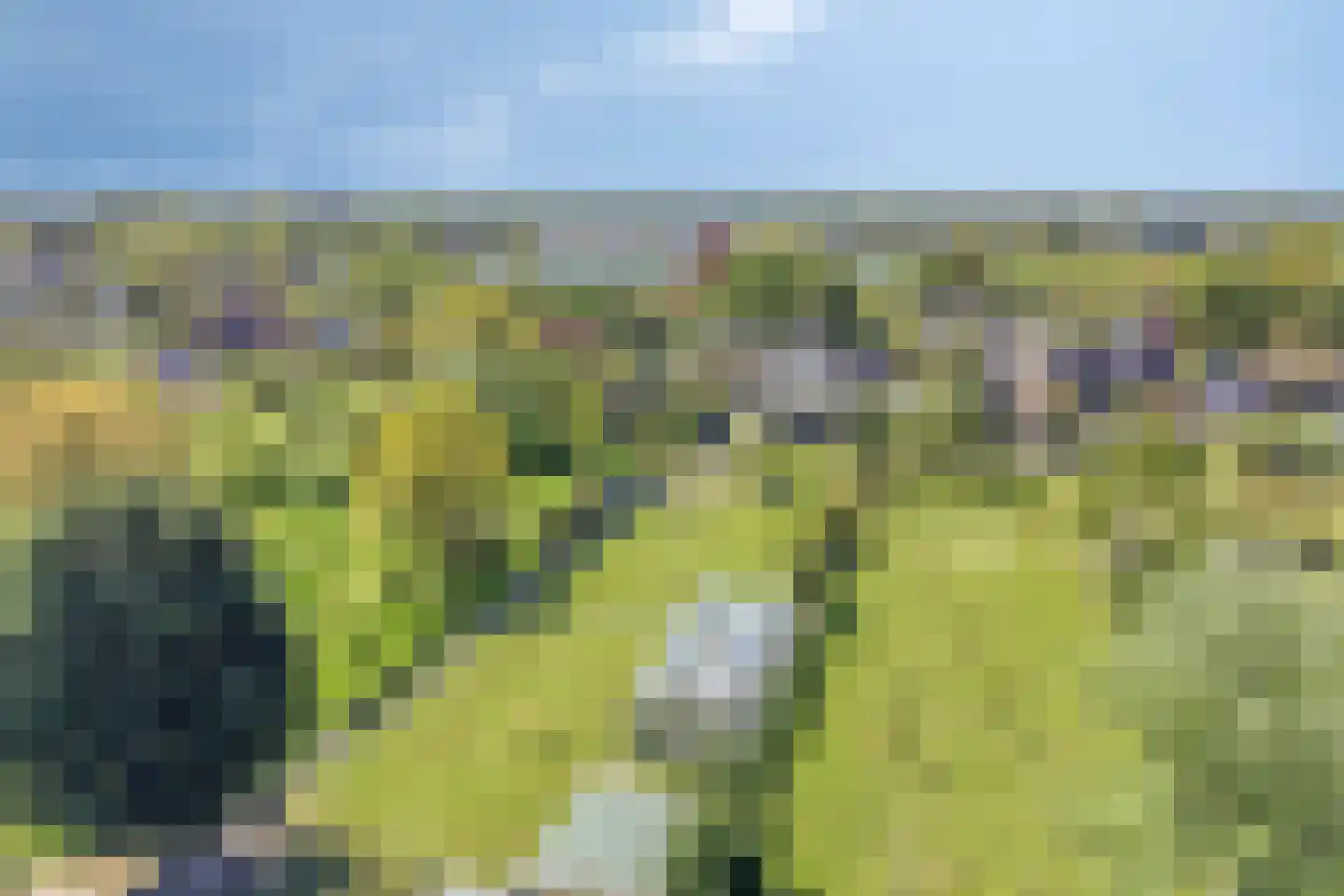 Tiendweg 26 Harmelen thumbnail 67