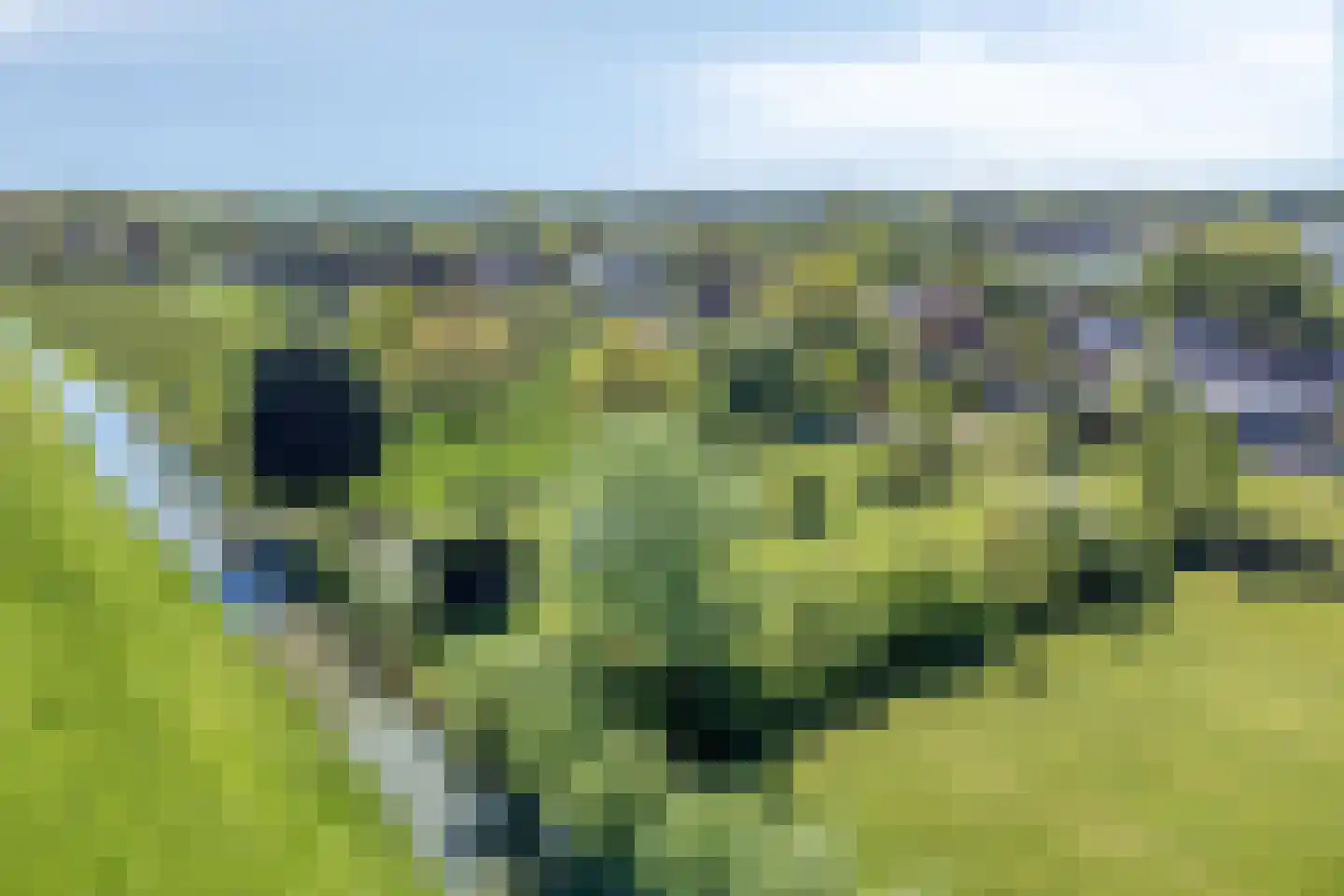 Tiendweg 26 Harmelen thumbnail 68