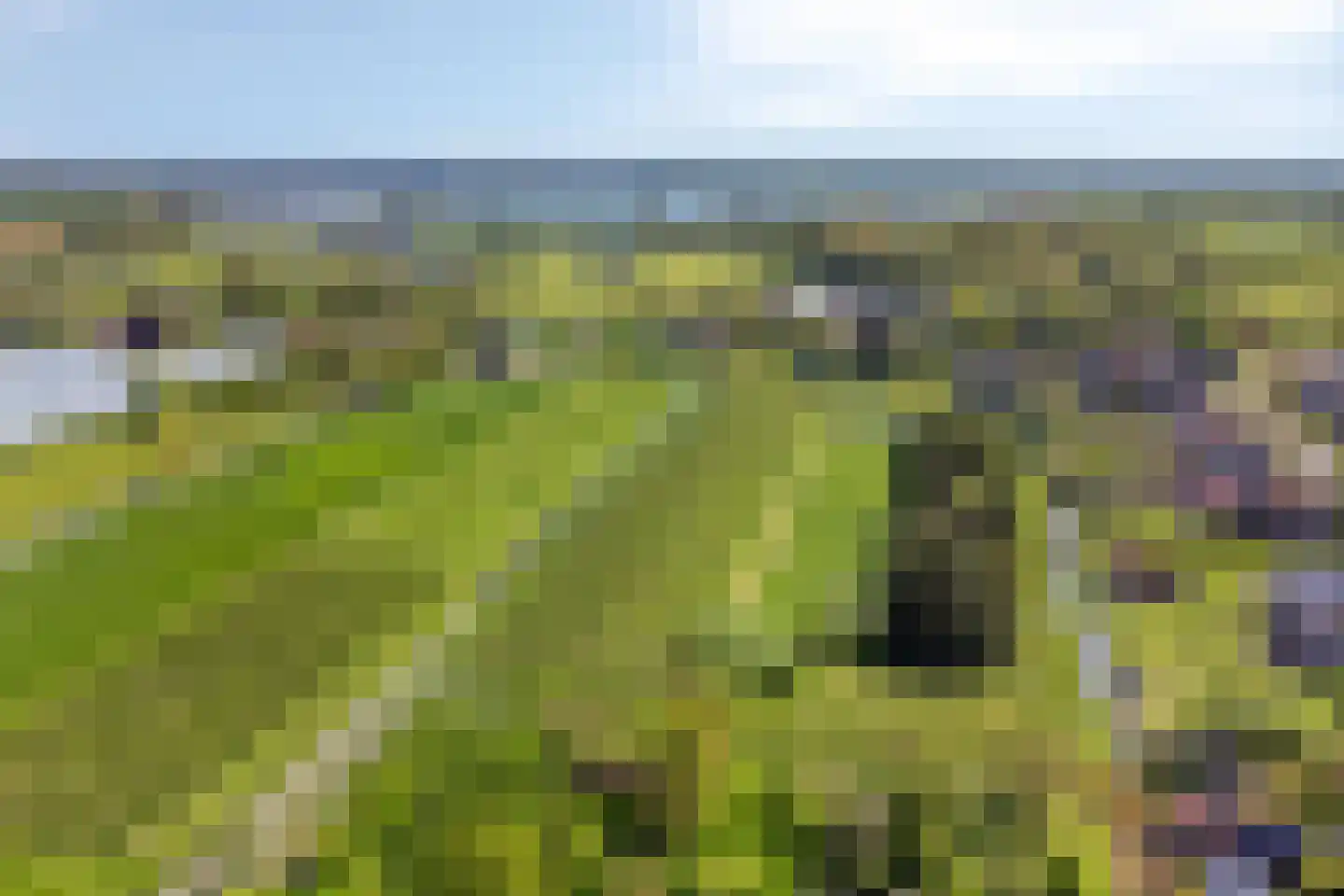 Tiendweg 26 Harmelen thumbnail 70
