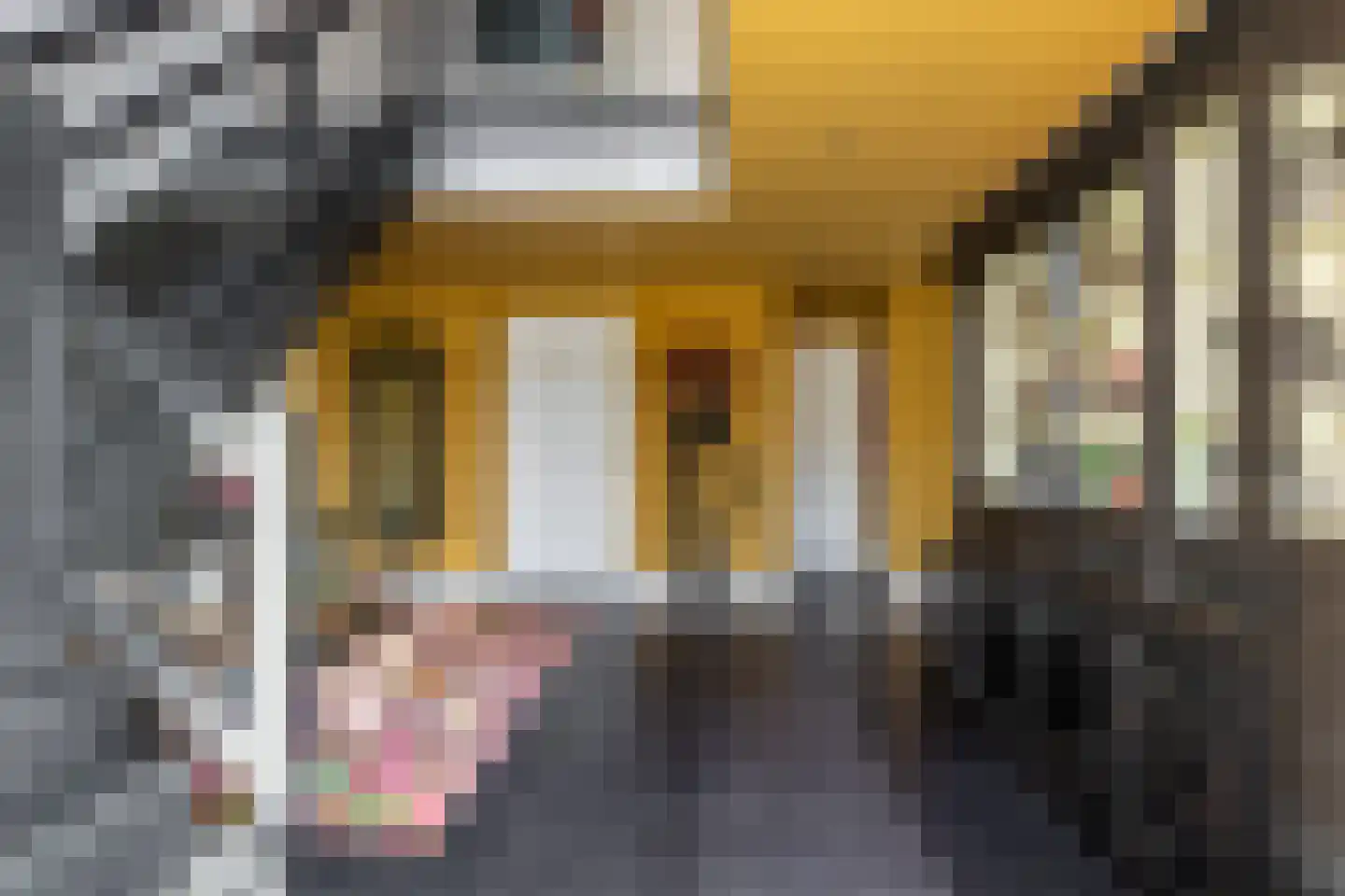 Tiendweg 28 Schoonhoven thumbnail 16