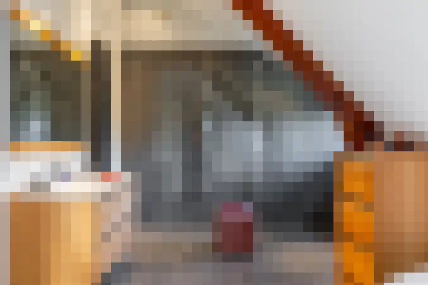 Tiendweg 28 Schoonhoven thumbnail 24