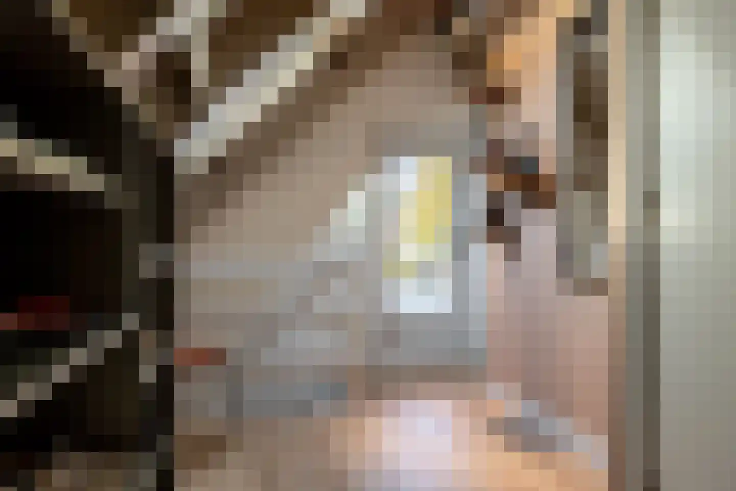 Tiendweg 28 Schoonhoven thumbnail 42