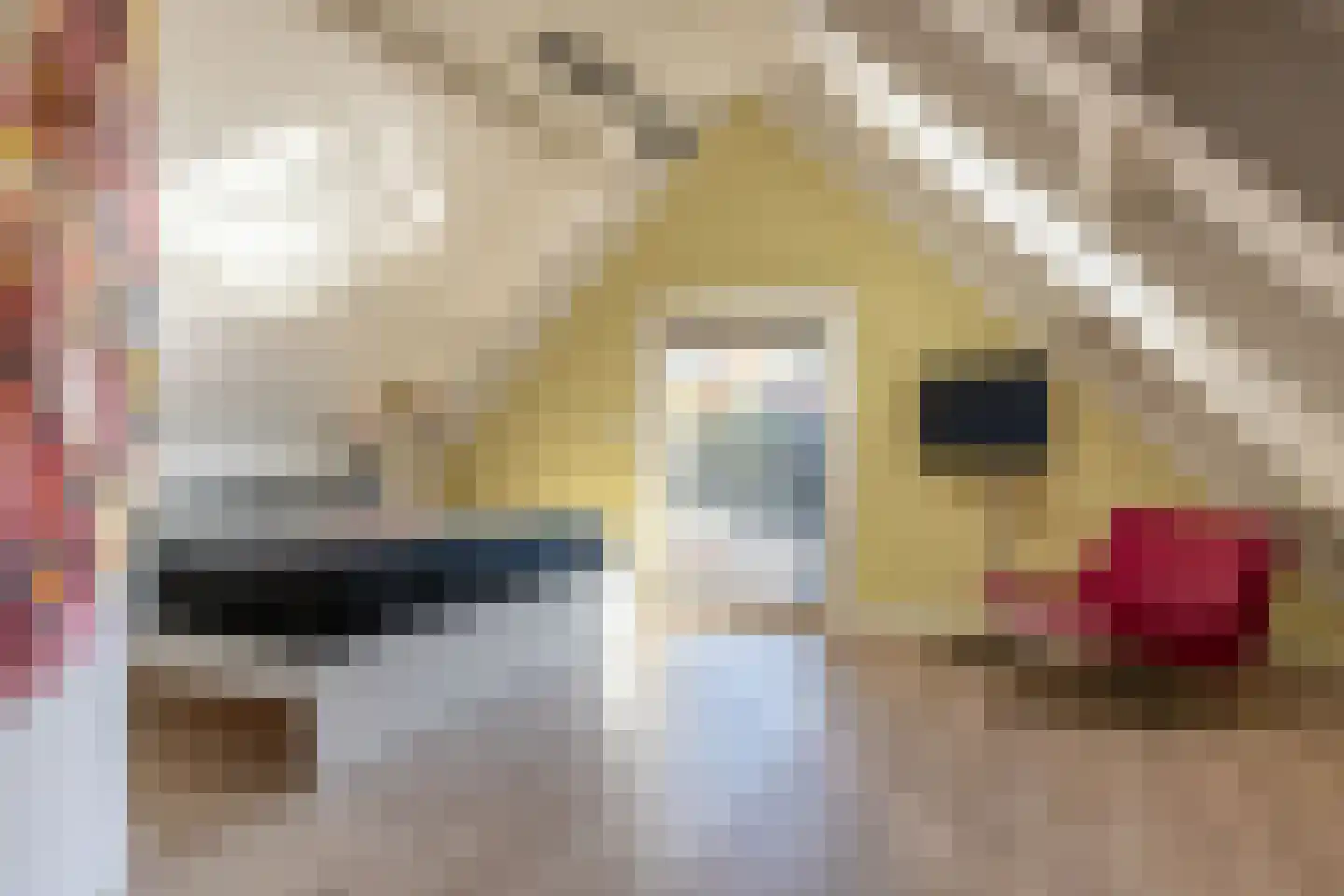Tiendweg 28 Schoonhoven thumbnail 45