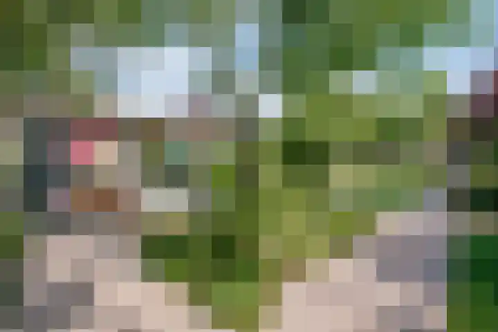 Tiendweg 28 Schoonhoven thumbnail 47