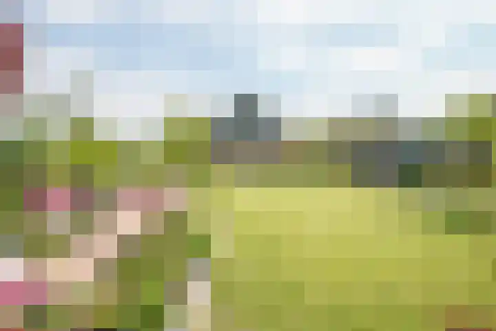 Tiendweg 28 Schoonhoven thumbnail 48