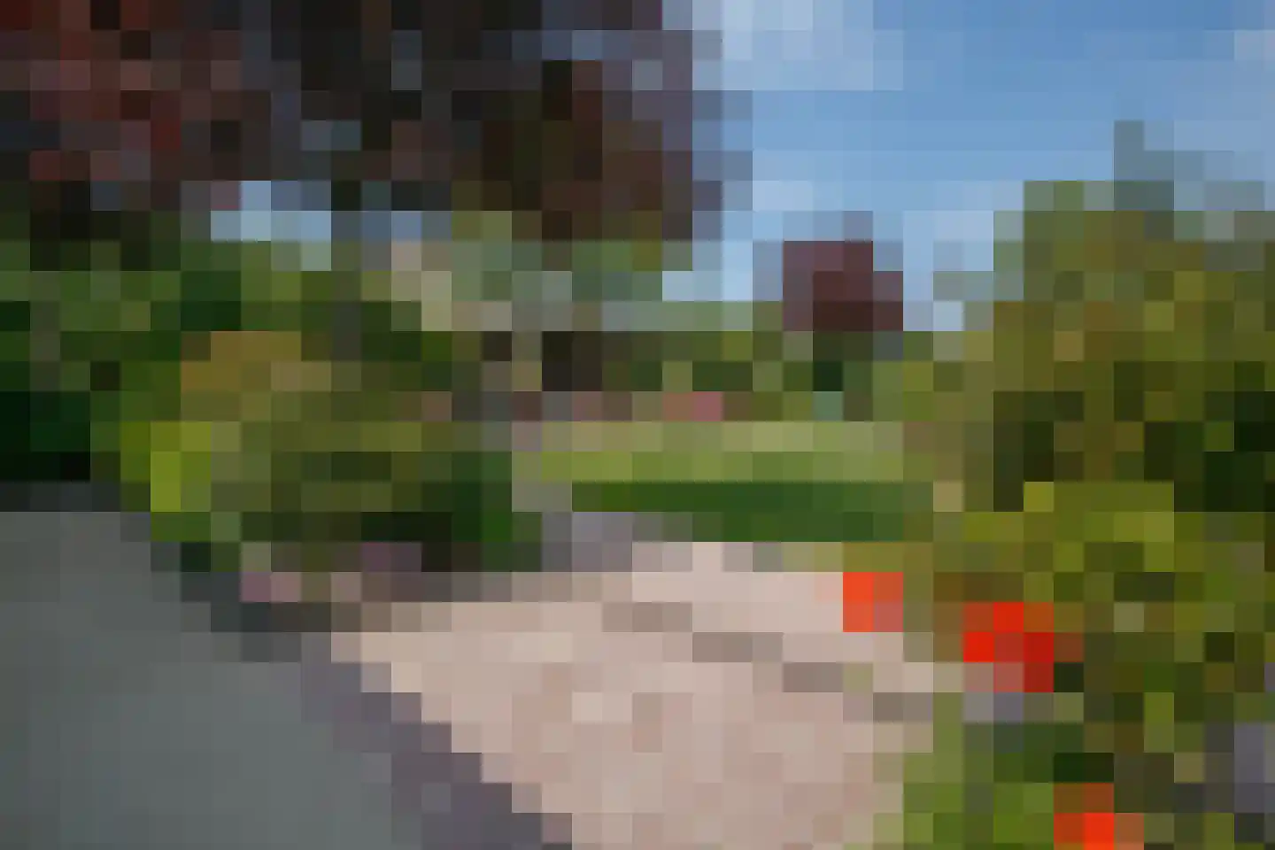 Tiendweg 28 Schoonhoven thumbnail 56
