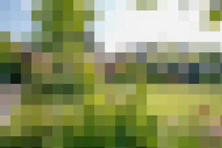 Tiendweg 28 Schoonhoven thumbnail 60