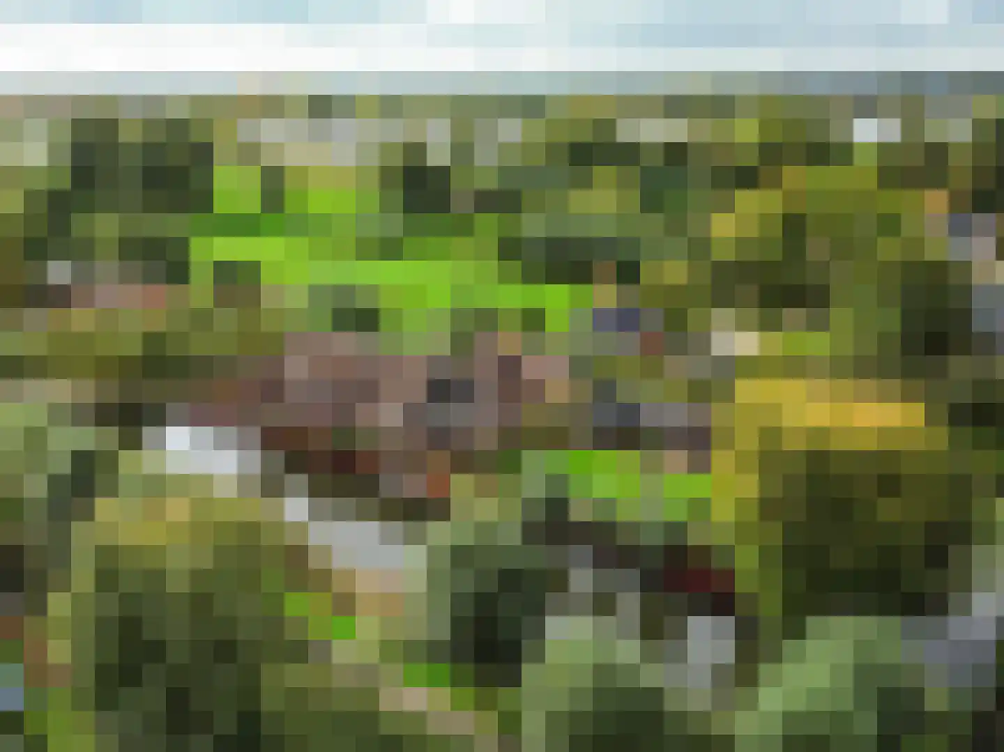 Tiendweg 28 Schoonhoven thumbnail 65