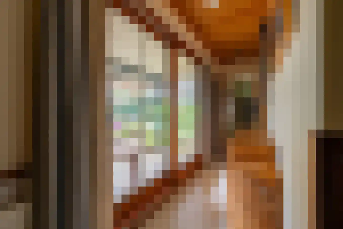 Tiendweg 28 Zeist thumbnail 21