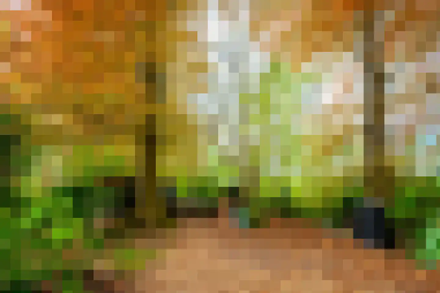 Tiendweg 28 Zeist thumbnail 31
