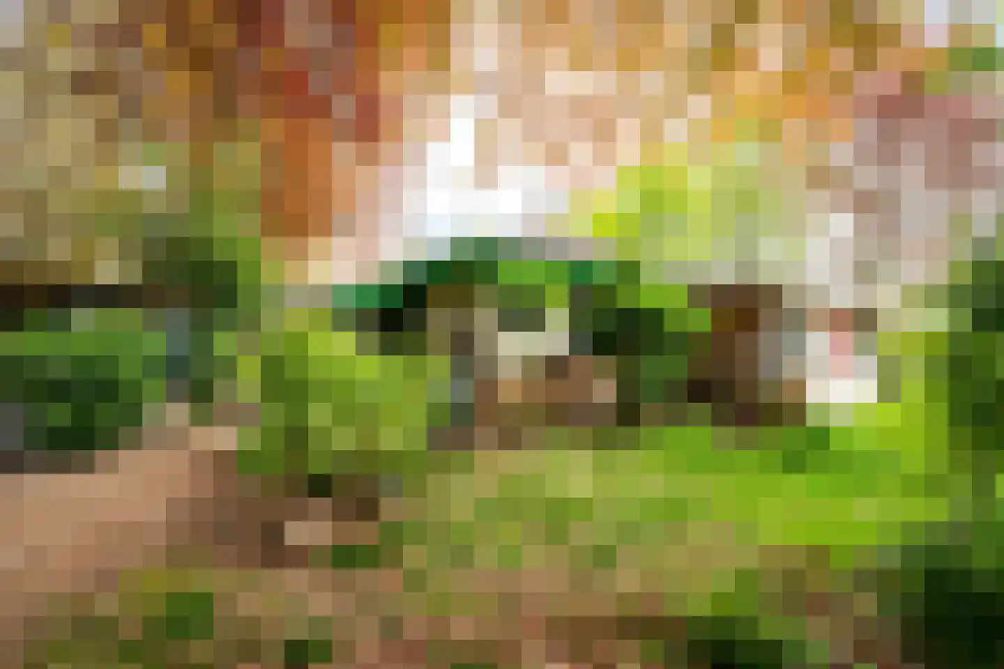 Tiendweg 28 Zeist thumbnail 32