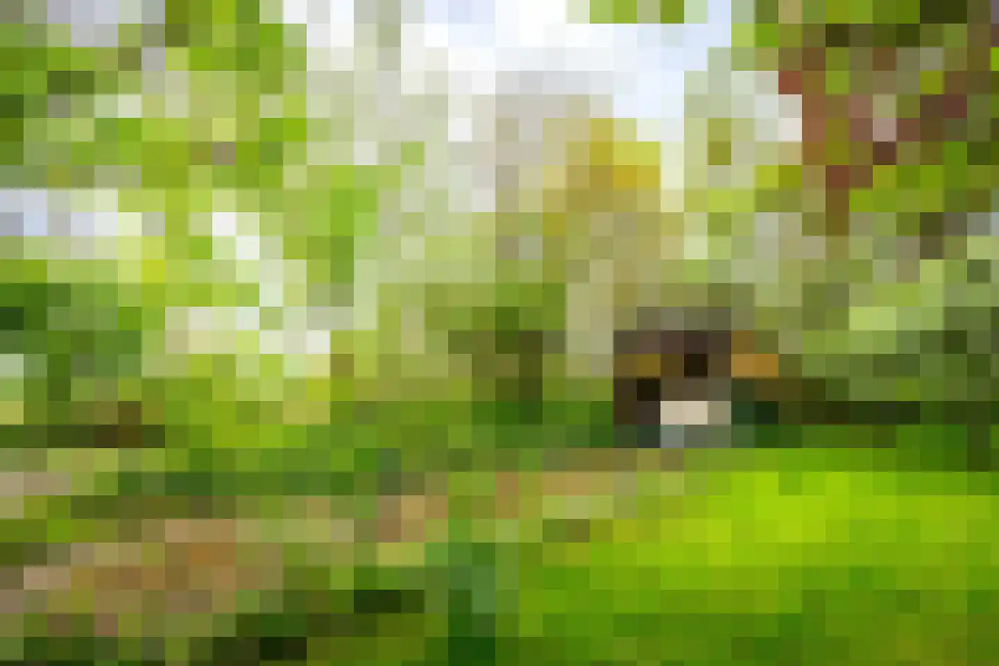 Tiendweg 28 Zeist thumbnail 36