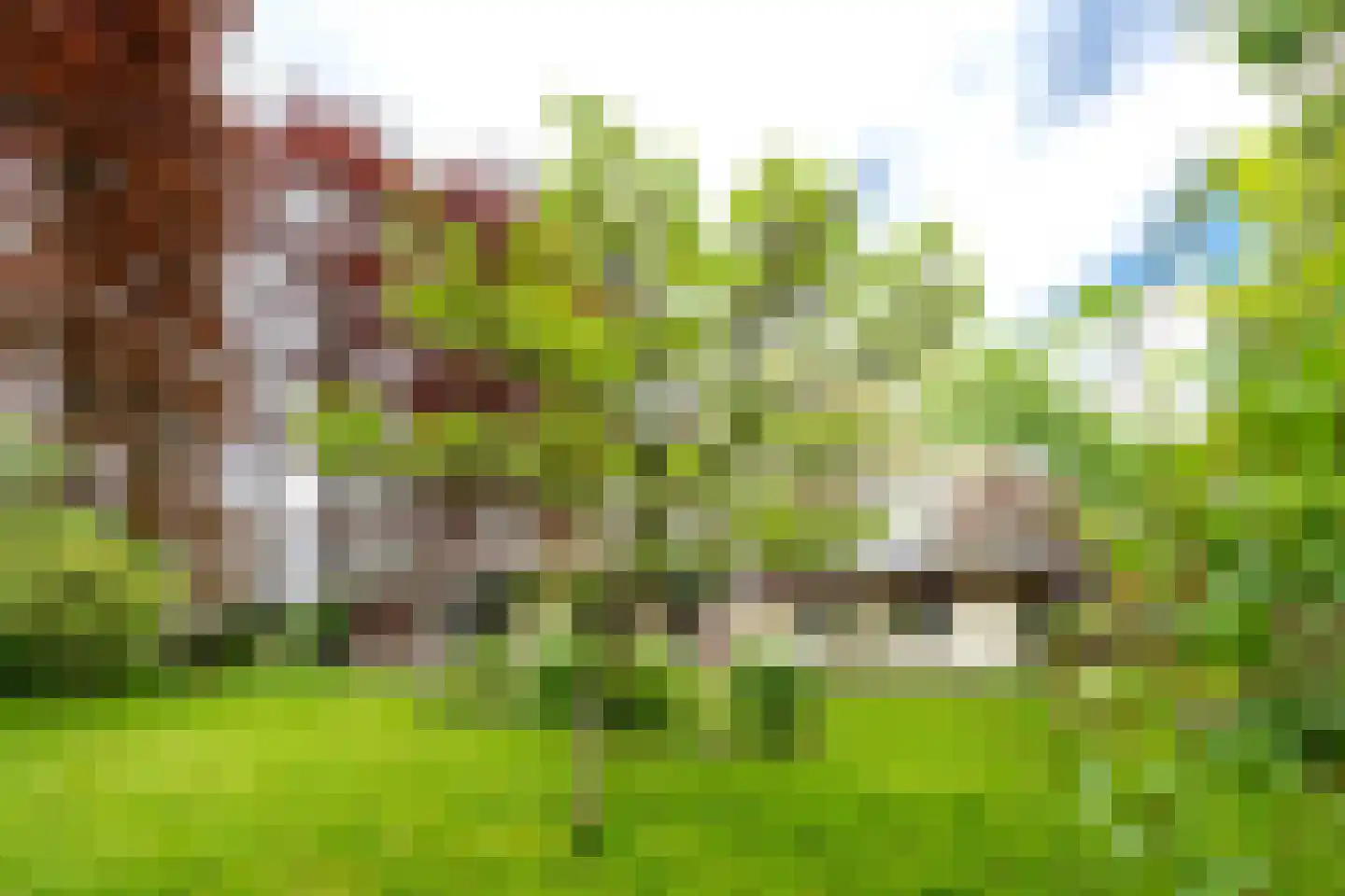 Tiendweg 28 Zeist thumbnail 38