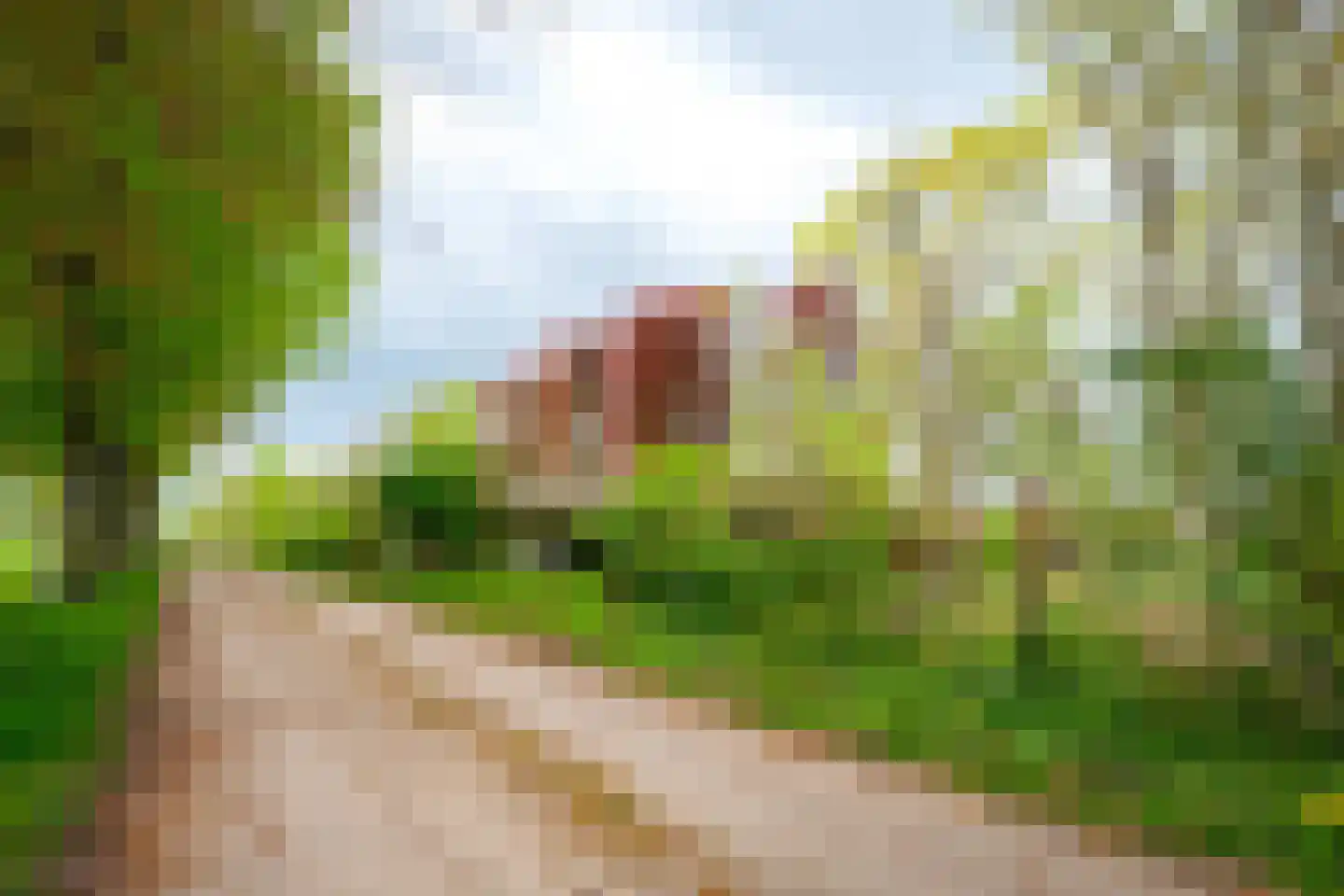 Tiendweg 28 Zeist thumbnail 39