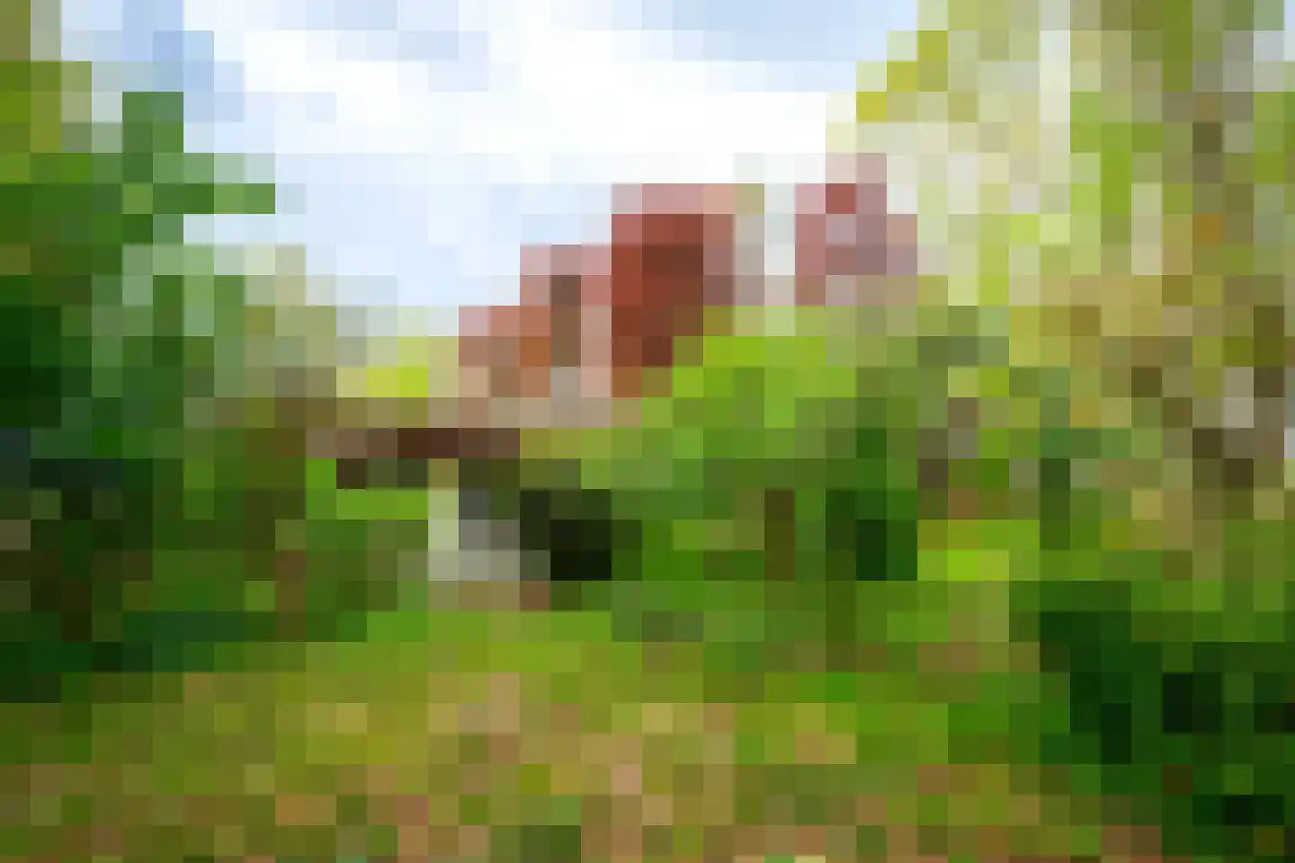 Tiendweg 28 Zeist thumbnail 40