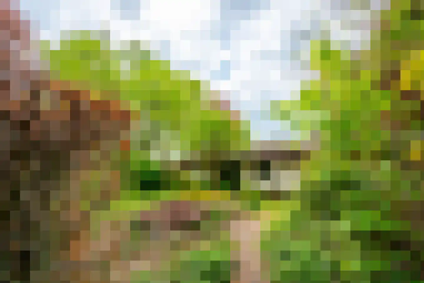 Tiendweg 28 Zeist thumbnail 41