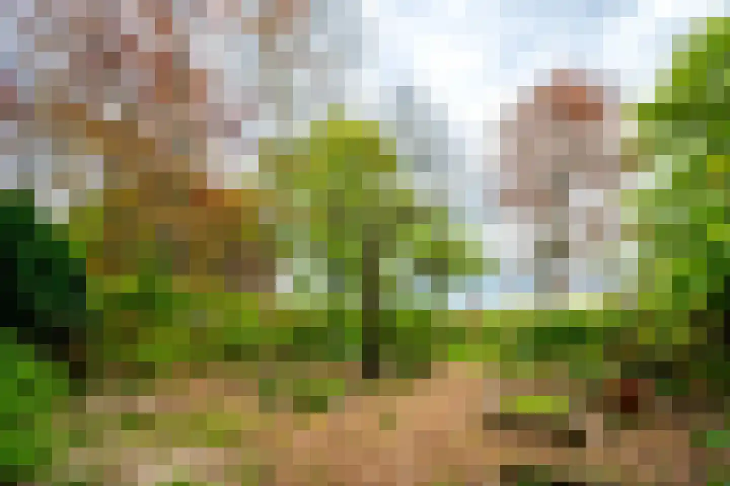 Tiendweg 28 Zeist thumbnail 42