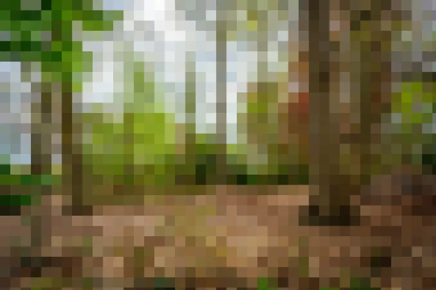 Tiendweg 28 Zeist thumbnail 43